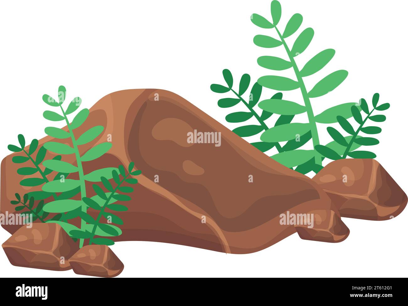 Rocce colorate con foglie vettoriali Illustrazione Vettoriale