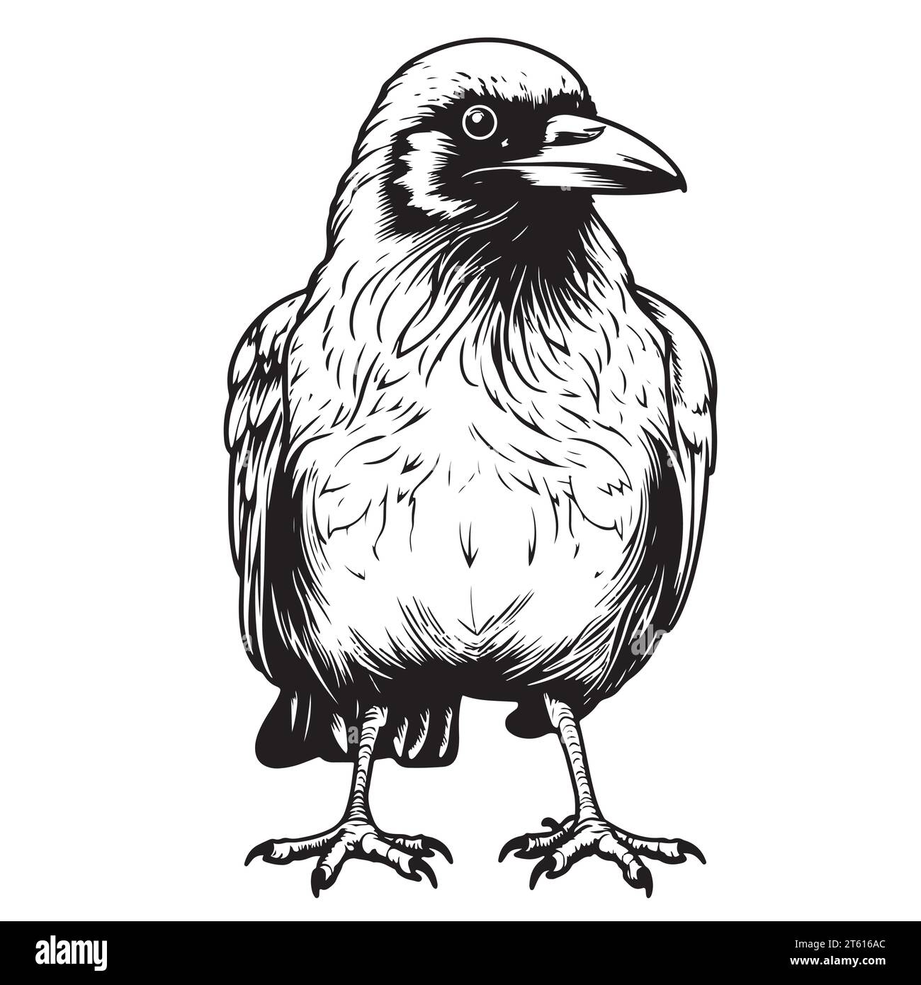 Disegno Raven in posizione seduta illustrazione vettoriale disegnata a mano Illustrazione Vettoriale