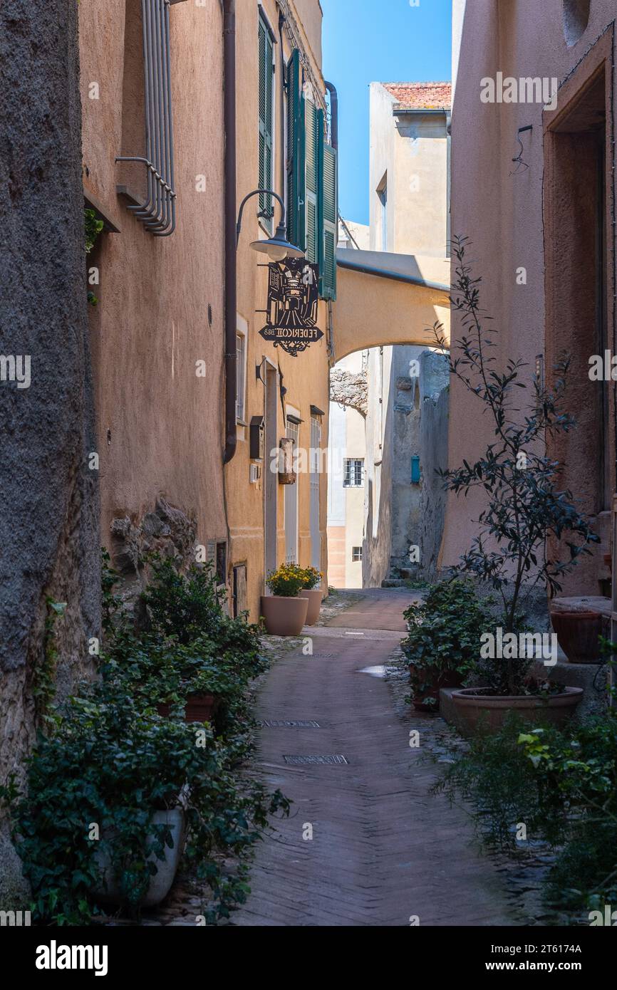 Stretto vicolo nel borgo medievale della Riviera Italiana con piante in vaso fuori dalle case in pietra, Borgio Verezzi, Savona, Liguria, Italia Foto Stock