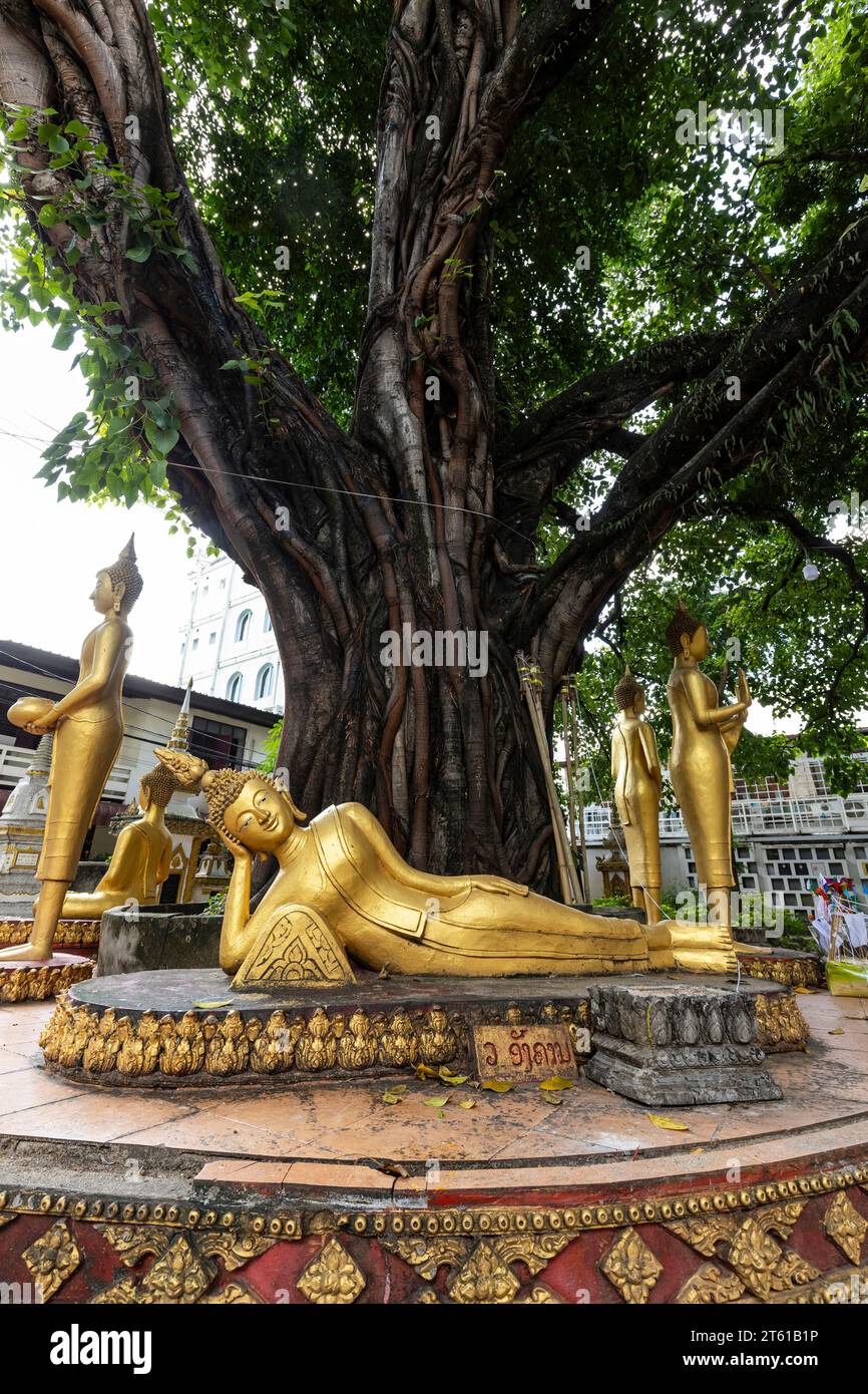 VAT Haysoke (Wat Haysok), statua del Buddha reclinabile, albero santo nel cortile, Vientiane, Laos, Sud-est asiatico, Asia Foto Stock