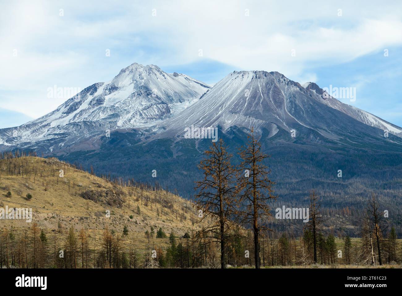 Monte Shasta nella California settentrionale con le prime nevicate della stagione sulla cima del vulcano nella cintura di fuoco del Pacifico Foto Stock