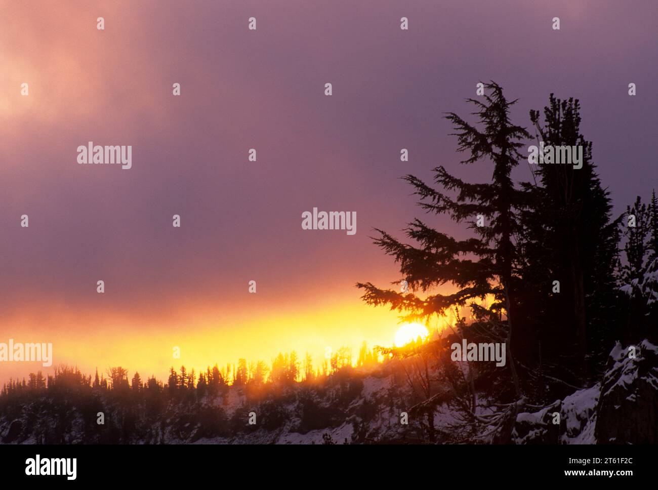 Sunrise lungo Bear Creek Mountain Trail, rocce di capra deserto Wenatchee National Forest, Washington Foto Stock