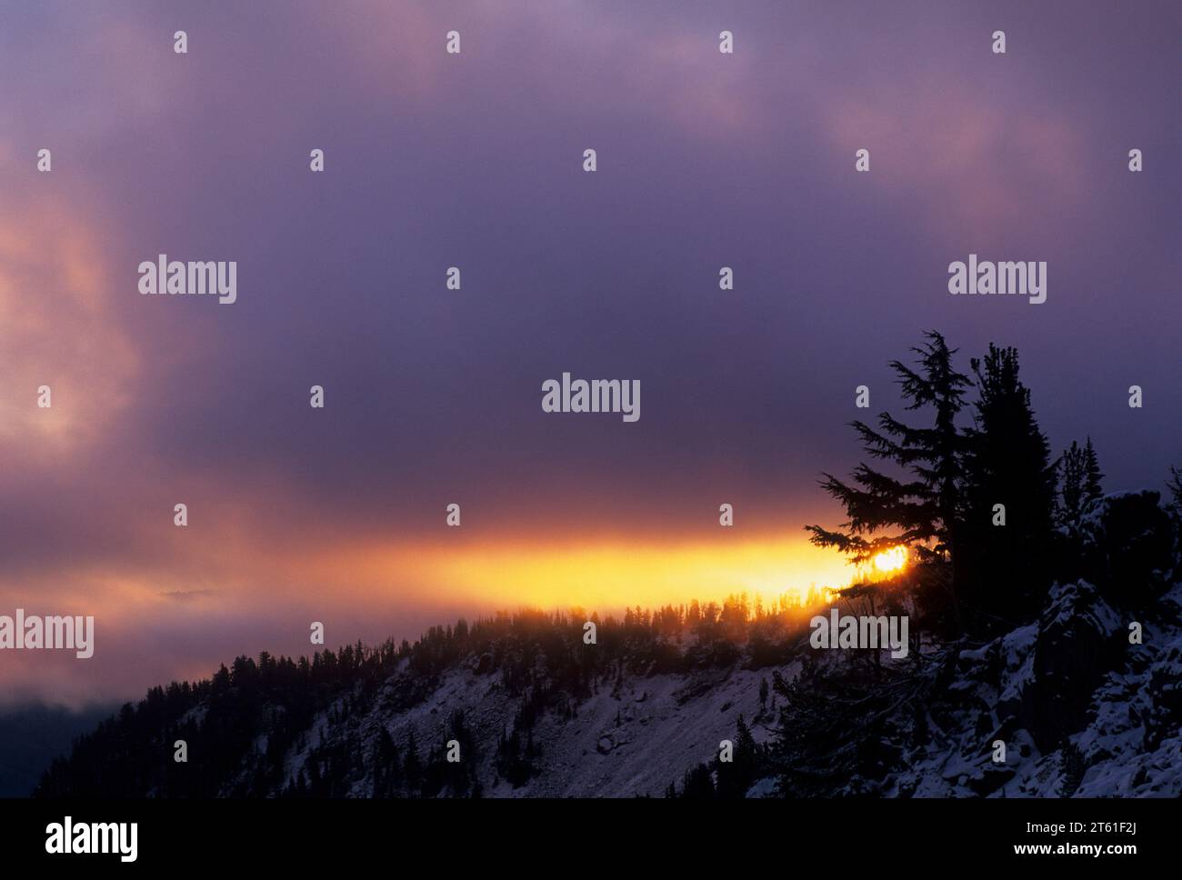 Sunrise lungo Bear Creek Mountain Trail, rocce di capra deserto Wenatchee National Forest, Washington Foto Stock