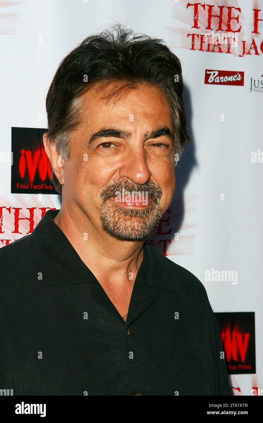 Joe Mantegna al Winebrook Entertainment e FourTwoFive Films proiezione in anteprima di "The House That Jack Built" - Arrivals tenutosi all'Arclight Hollywood Courtyard di Hollywood, CA 14 luglio 2009. Crediti fotografici: Joseph Martinez / Picturelux Foto Stock