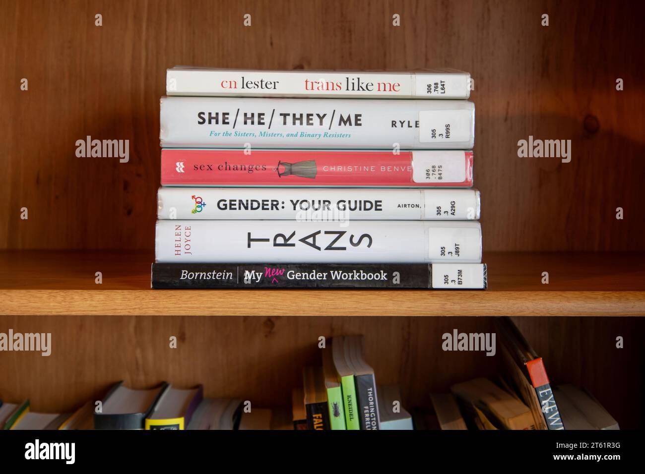 Natura morta dei libri transgender in biblioteca su uno scaffale. Foto Stock