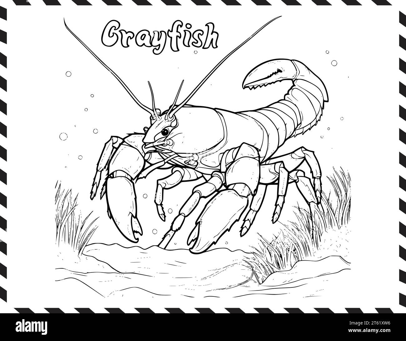 Crayfish colorare pagine disegno per bambini Illustrazione Vettoriale