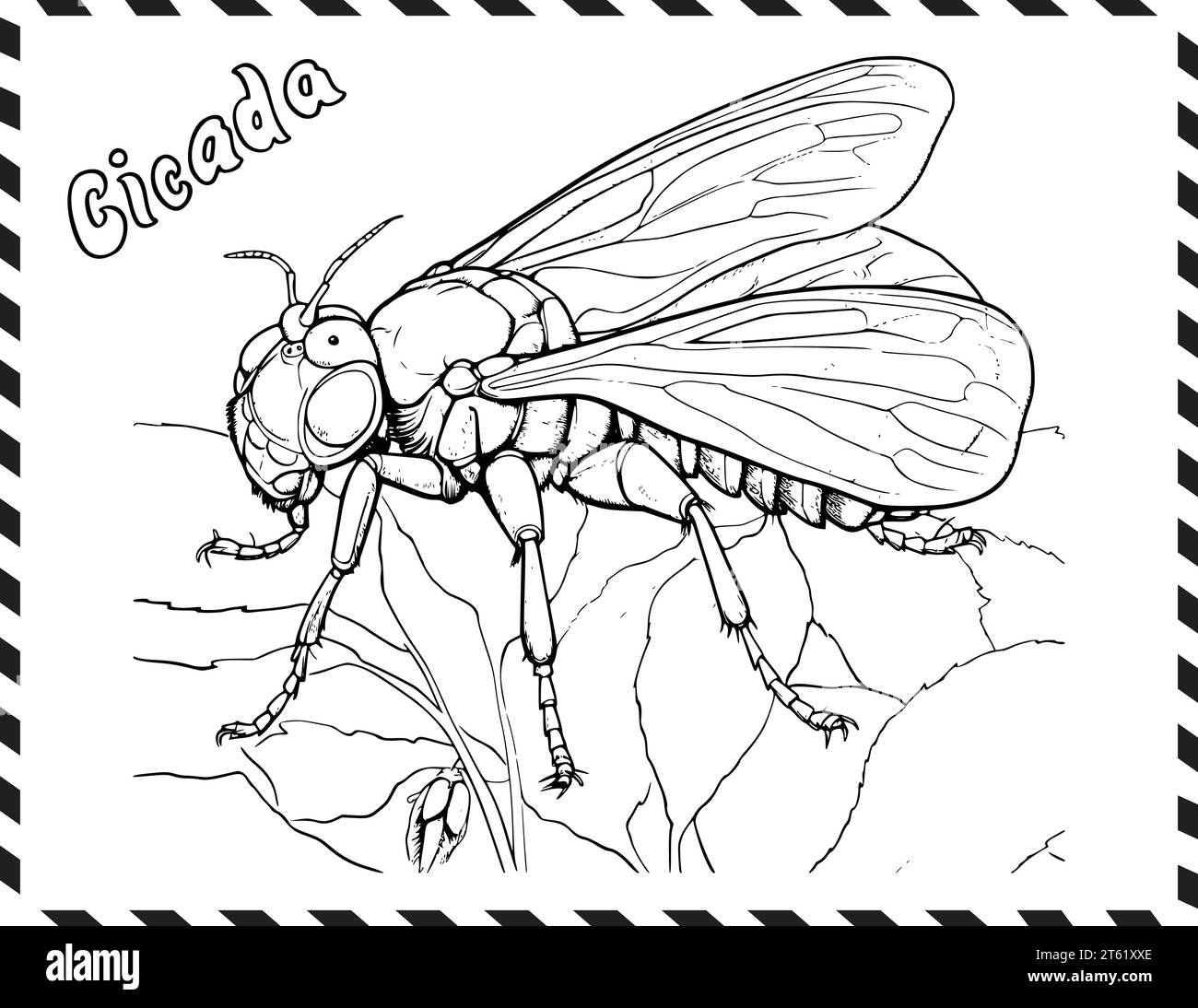 Cicada Coloring Page per bambini Illustrazione Vettoriale