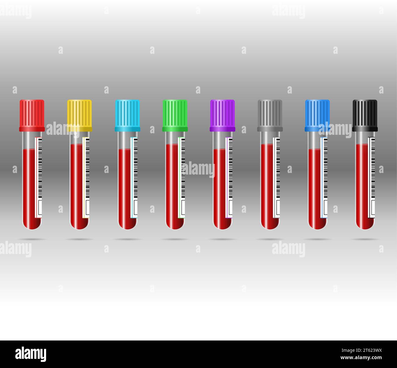 provette per il prelievo ematico su sfondo grigio. Le provette sono di colori diversi, che rappresentano i diversi tipi di analisi del sangue che possono essere eseguite Illustrazione Vettoriale