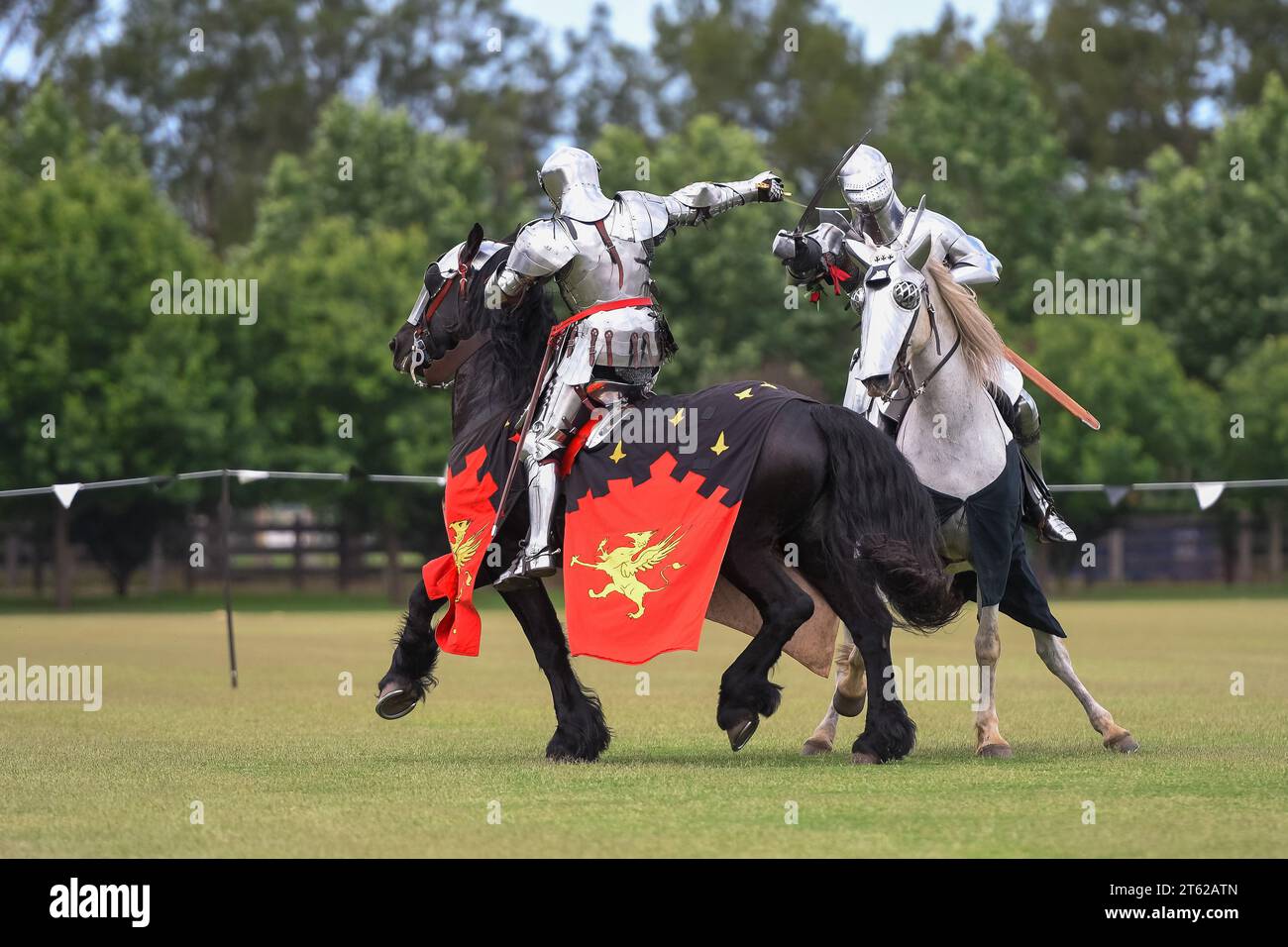 Cavaliere giostra. Cavalieri medievali durante un torneo di giostre. Gara dei Cavalieri. Foto Stock