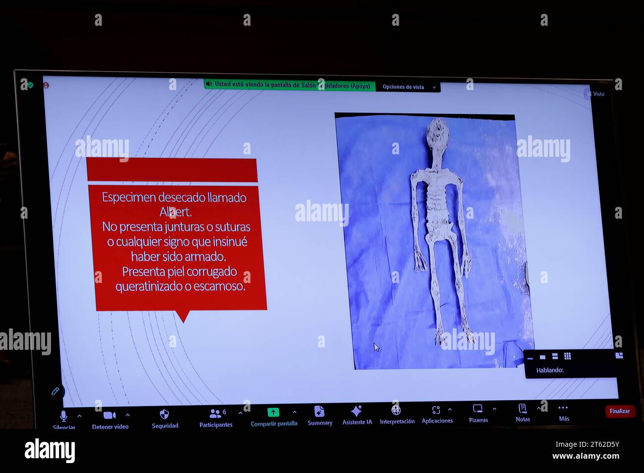 Città del Messico, Messico. 7 novembre 2023. Immagini di corpi non umani indagati da specialisti del fenomeno UFO mostrate alla seconda udienza pubblica messicana sui fenomeni anomali non identificati nella camera dei deputati di città del Messico. Il 7 novembre 2023 a città del Messico, Messico (Credit Image: © Luis Barron/eyepix via ZUMA Press Wire) SOLO PER USO EDITORIALE! Non per USO commerciale! Foto Stock