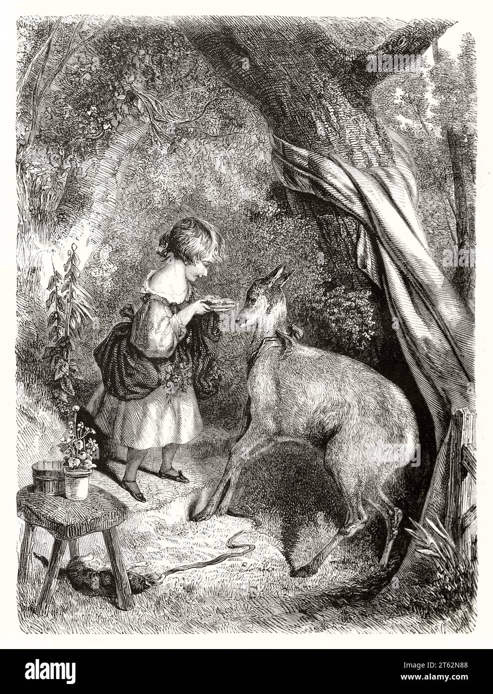 Vecchia illustrazione di una ragazza che dà da mangiare a un fazzoletto. Dopo Landseer, publ. Su Magasin Pittoresque, Parigi, 1849 Foto Stock