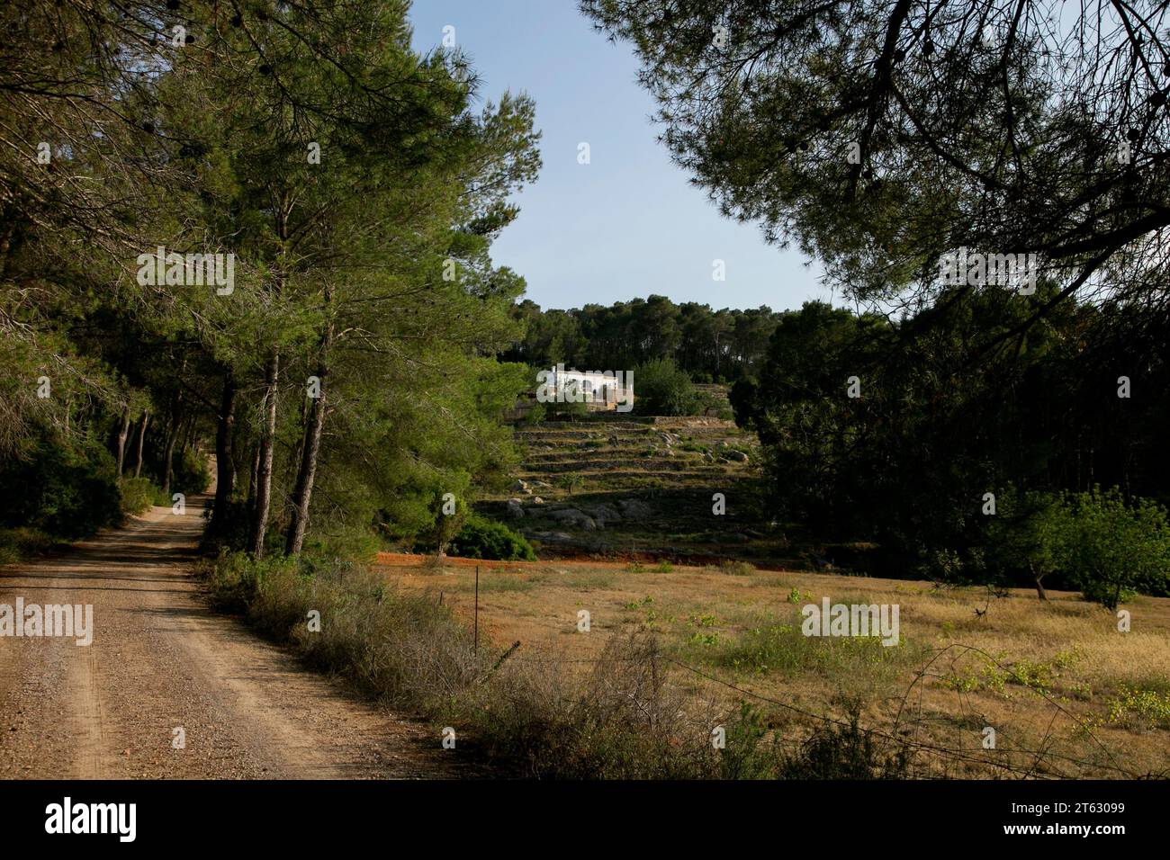 Casa di campagna bianca sull'isola di Ibiza circondata dalla natura nella parte settentrionale dell'isola. Foto Stock