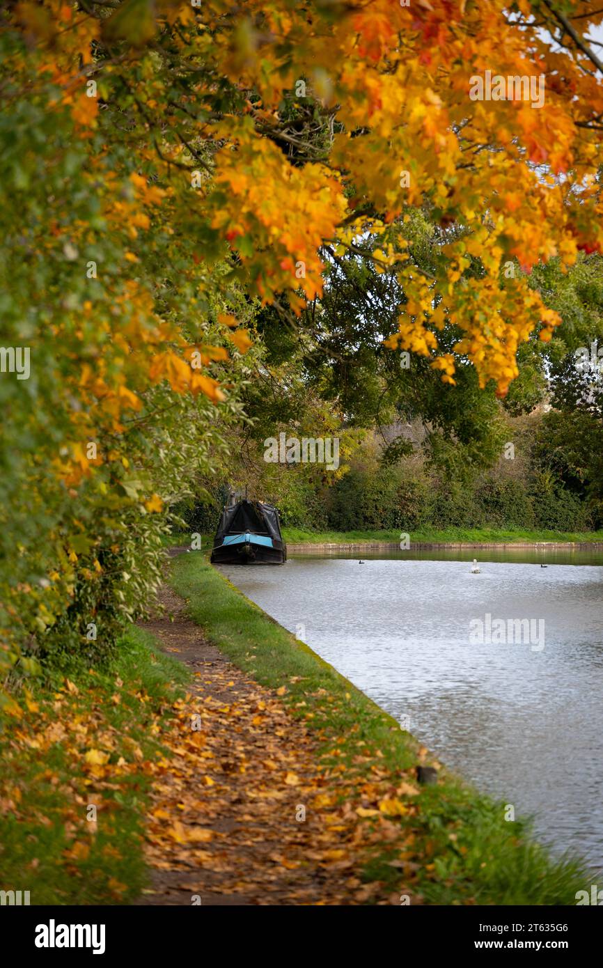 Il Grand Union Canal in autunno, Warwick, Warwickshire, Inghilterra, Regno Unito Foto Stock