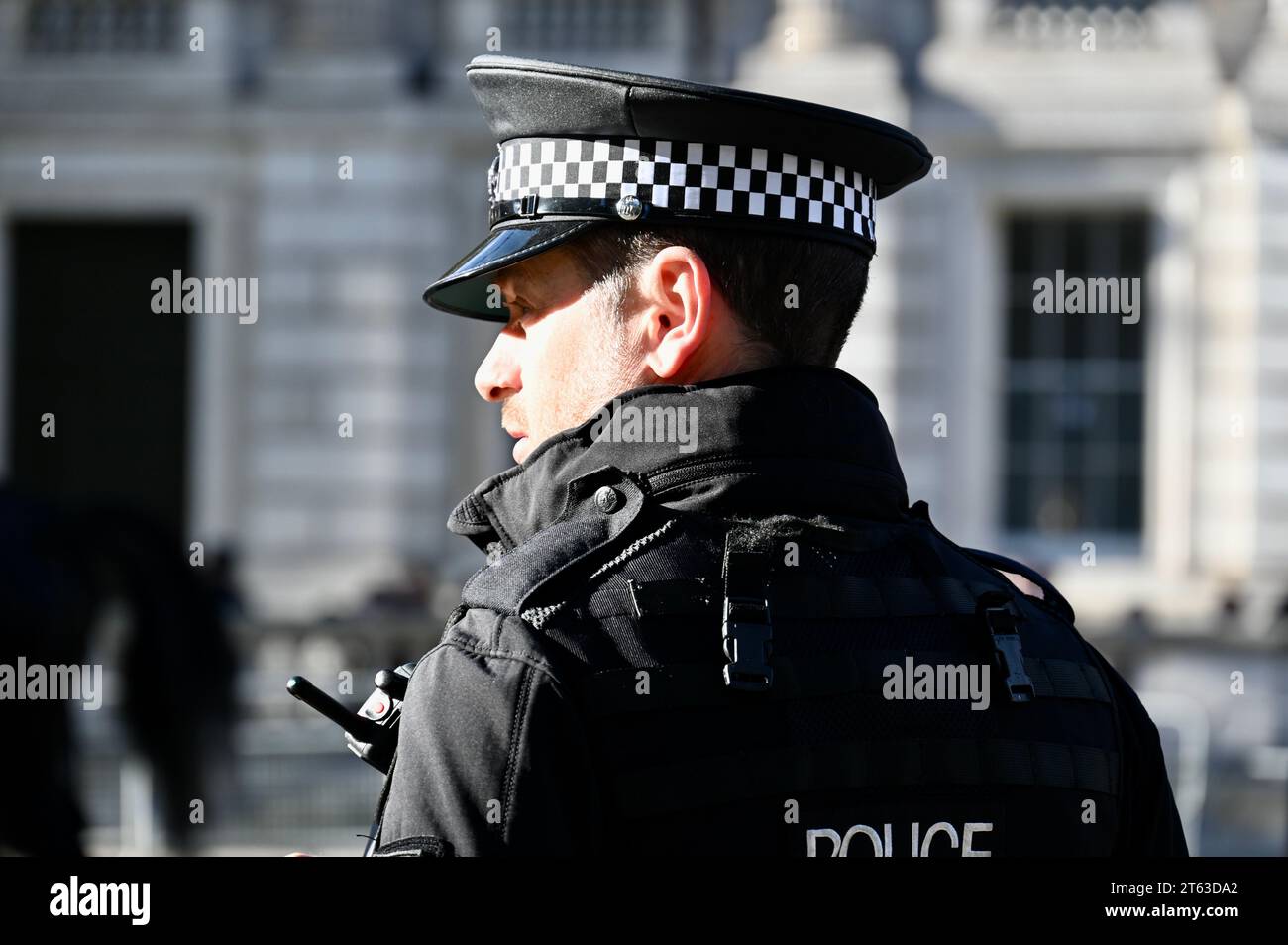 Agente di polizia, apertura statale del Parlamento, Whitehall, Londra, Regno Unito Foto Stock