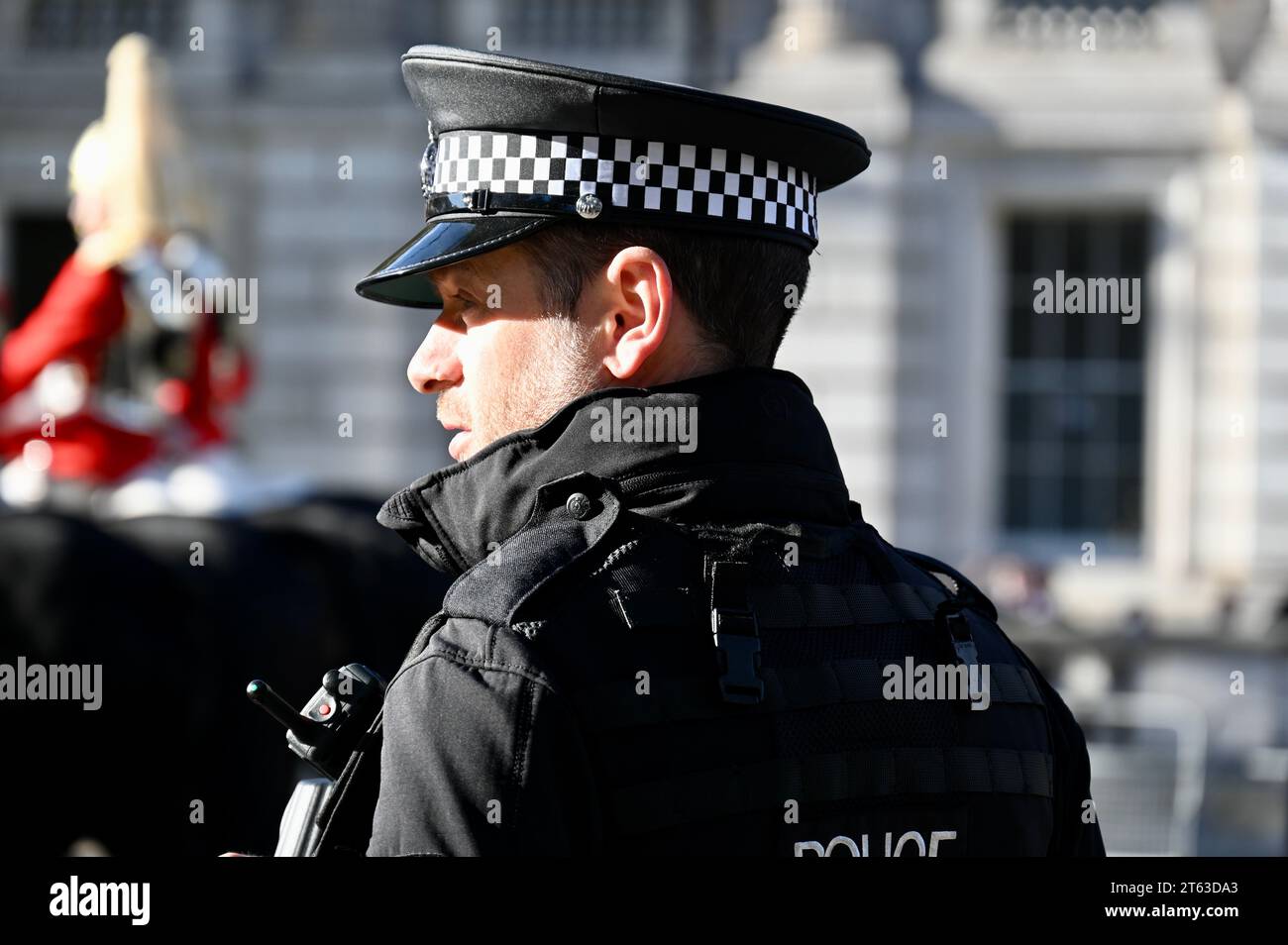 Agente di polizia, apertura statale del Parlamento, Whitehall, Londra, Regno Unito Foto Stock