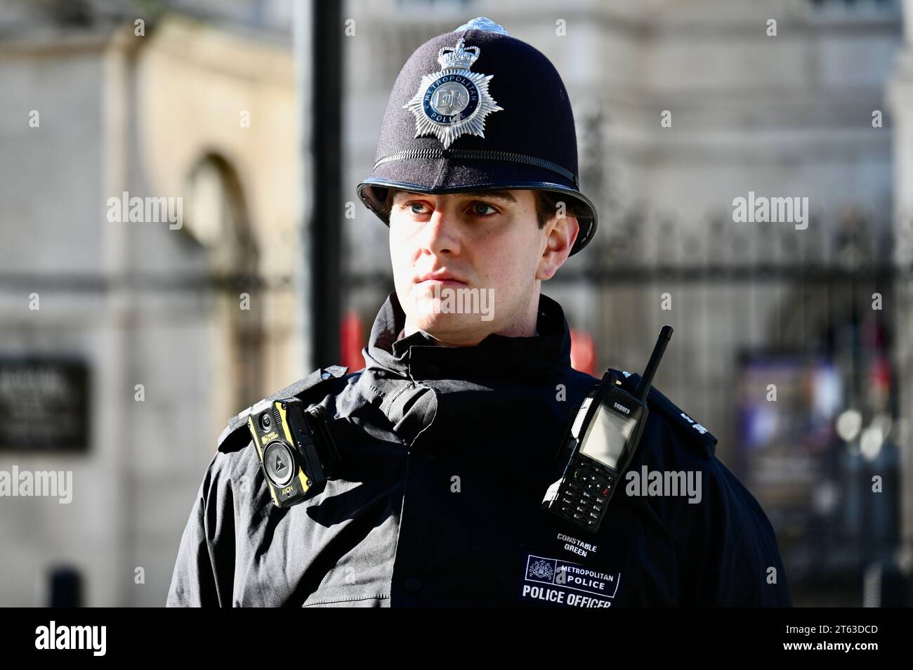 Agente di polizia, apertura statale del Parlamento, Whitehall, Londra, Regno Unito Foto Stock