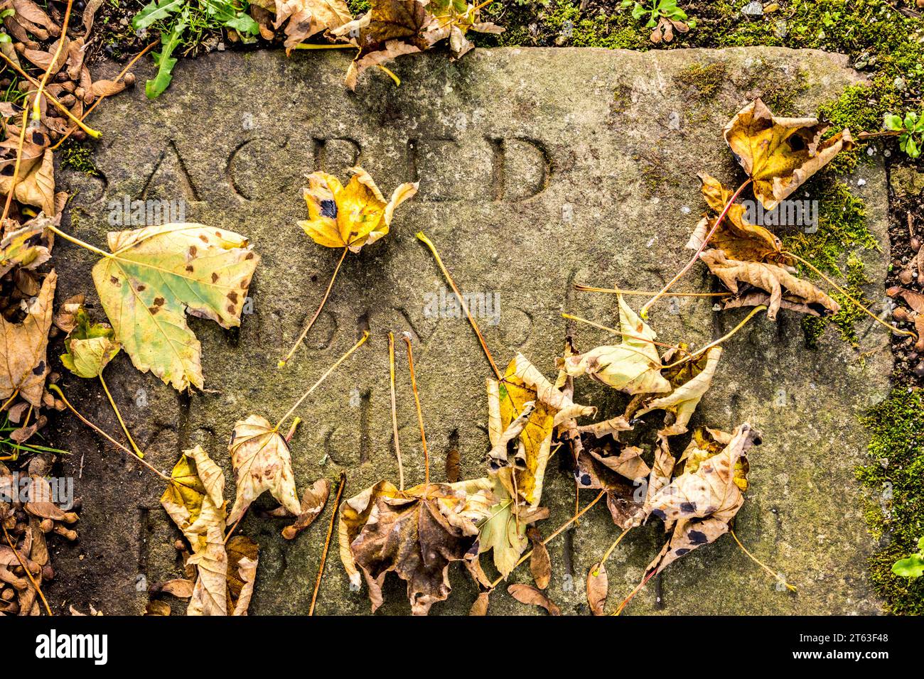 Vecchia lapide, contea di Donegal, Irlanda Foto Stock