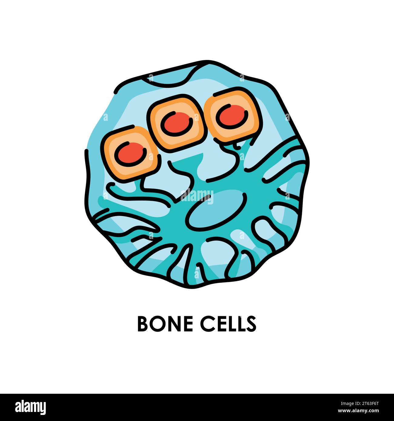 Icona della linea di colore della cellula ossea umana. Microrganismi microbi, batteri. Elemento isolato vettore. Tratto modificabile. Illustrazione Vettoriale