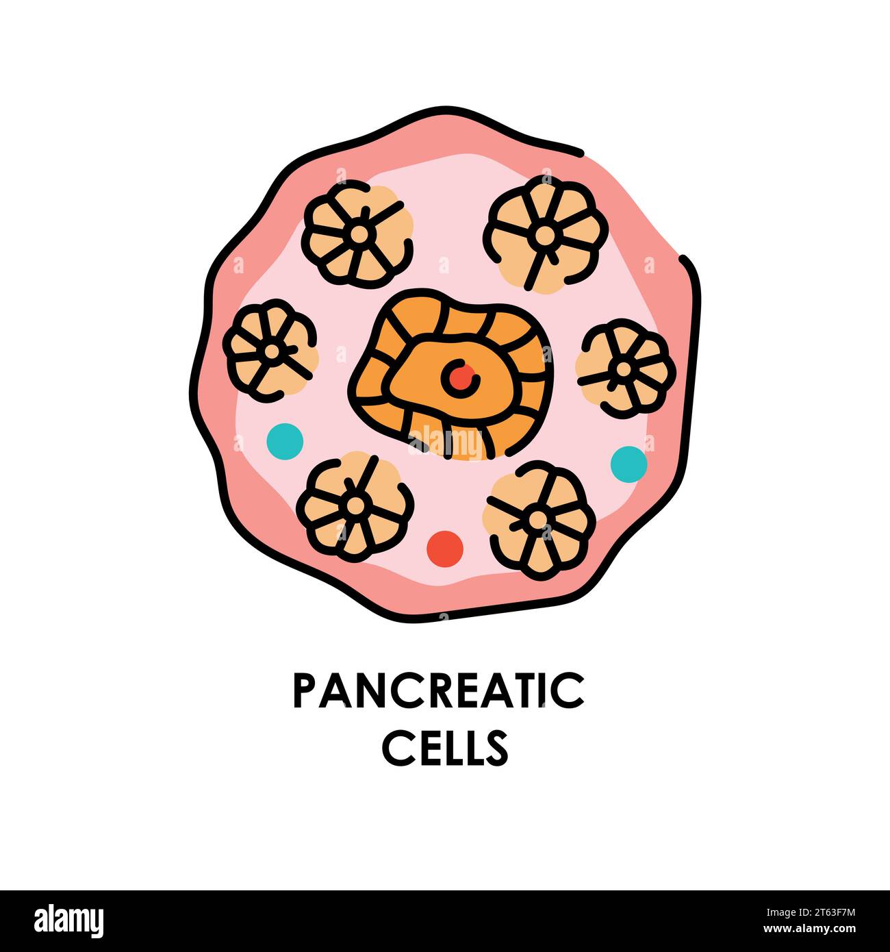 Icona della linea di colore della cella pancreatica. Microrganismi microbi, batteri. Elemento isolato vettore. Tratto modificabile. Illustrazione Vettoriale