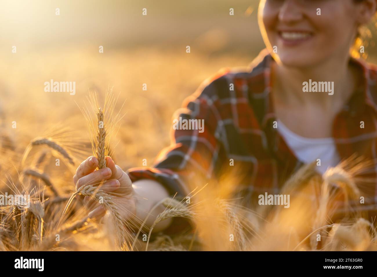 La contadina tocca le orecchie del grano su un campo agricolo. Foto Stock