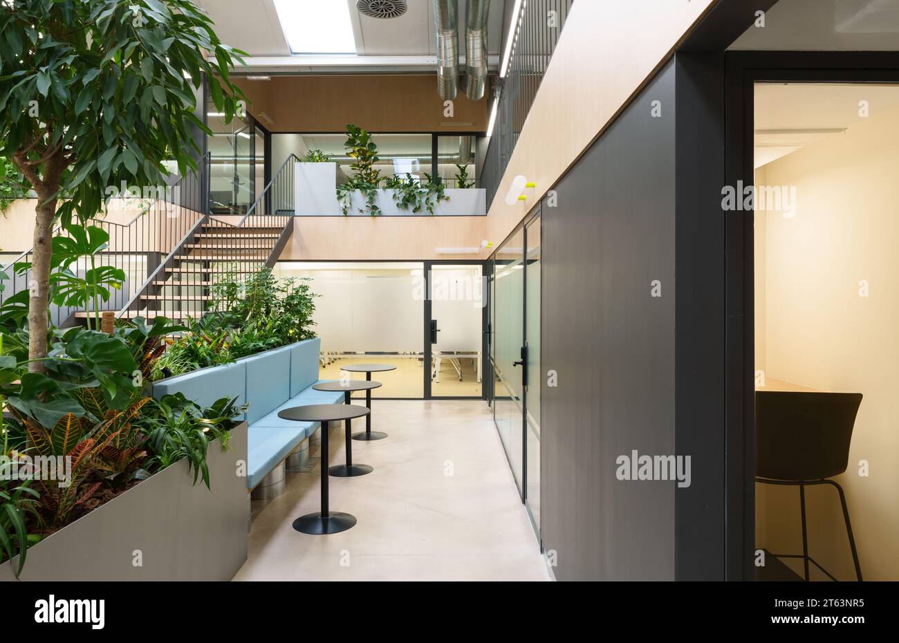 Elegante ufficio di coworking a Madrid, Spagna, caratterizzato da vegetazione interna, scalinata elegante e divisori trasparenti che accentuano il design moderno Foto Stock
