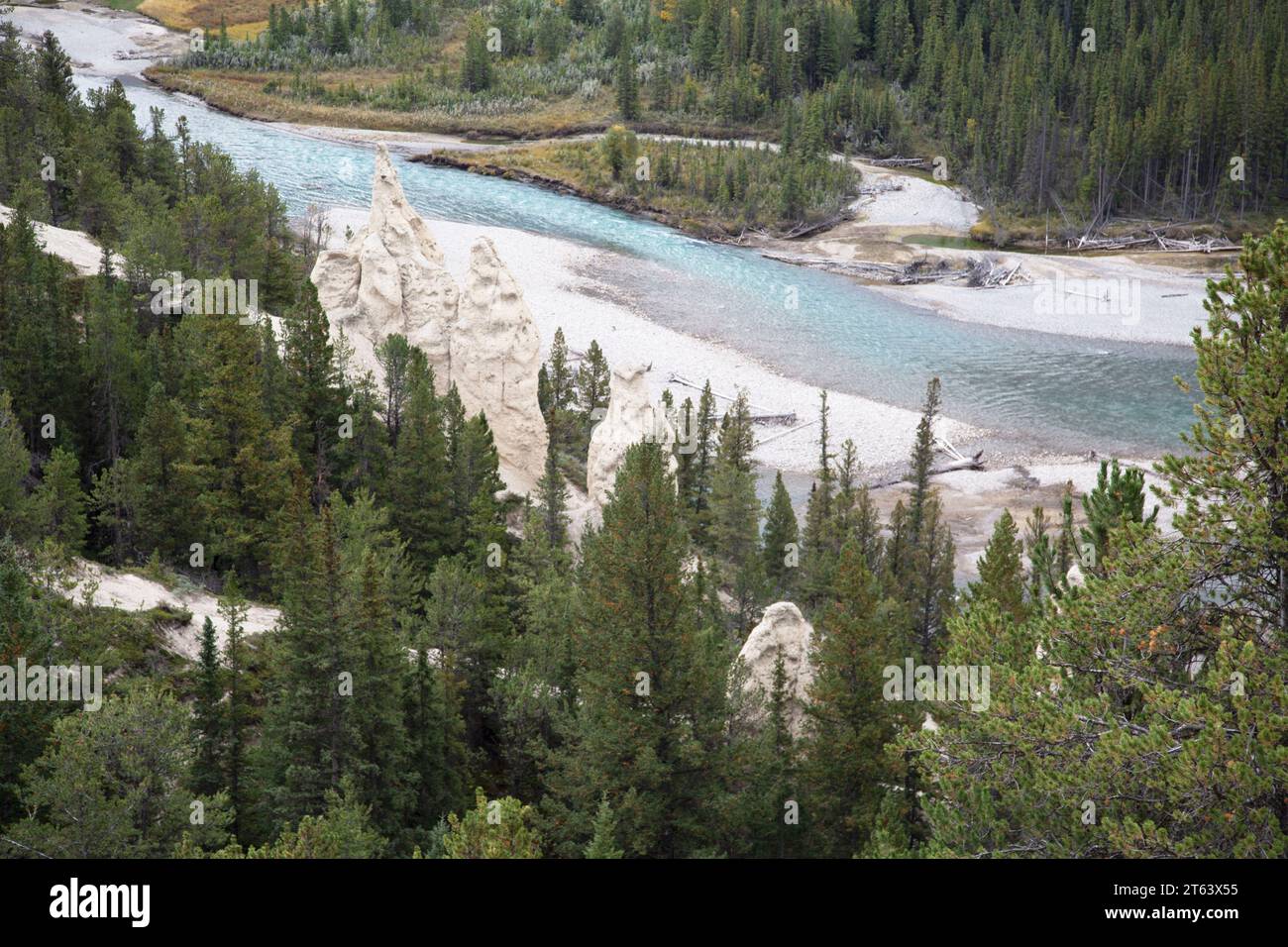 Gli Hoodoos nella Bow Valley, vicino al Bow River Banff National Park, Alberta, Canada. Foto Stock