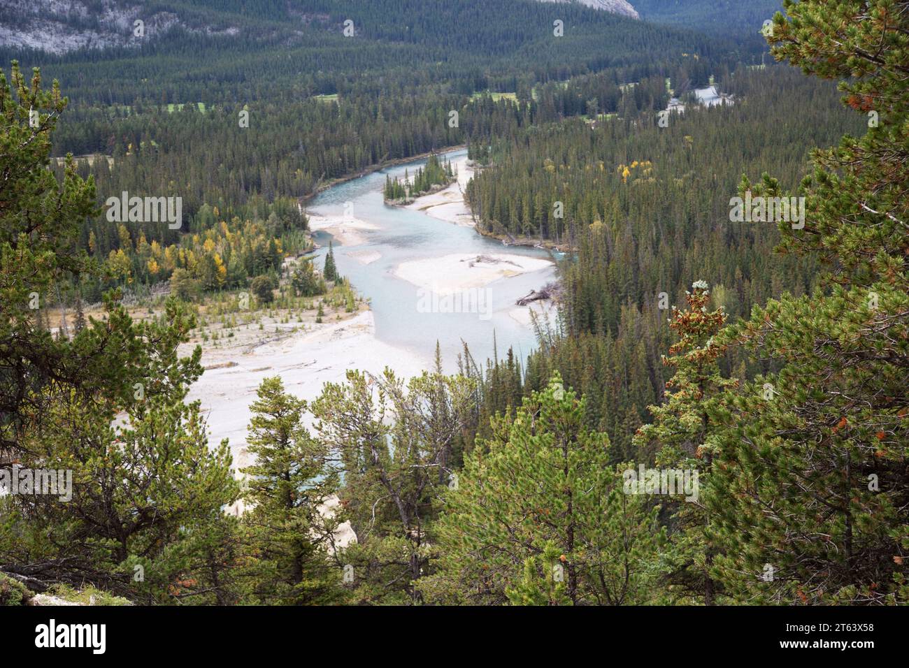 Gli Hoodoos nella Bow Valley, vicino al Bow River Banff National Park, Alberta, Canada. Foto Stock