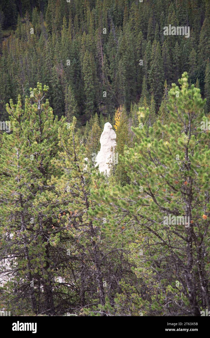 Gli Hoodoos nella Bow Valley, vicino al Bow River Banff National Park, Alberta, Canada. Foto Stock