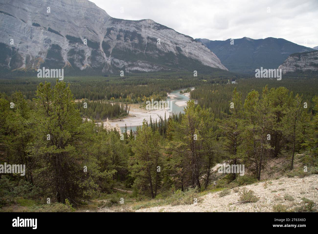 Gli Hoodoos nella Bow Valley, vicino al Bow River Banff National Park, Alberta, Canada. Foto Stock