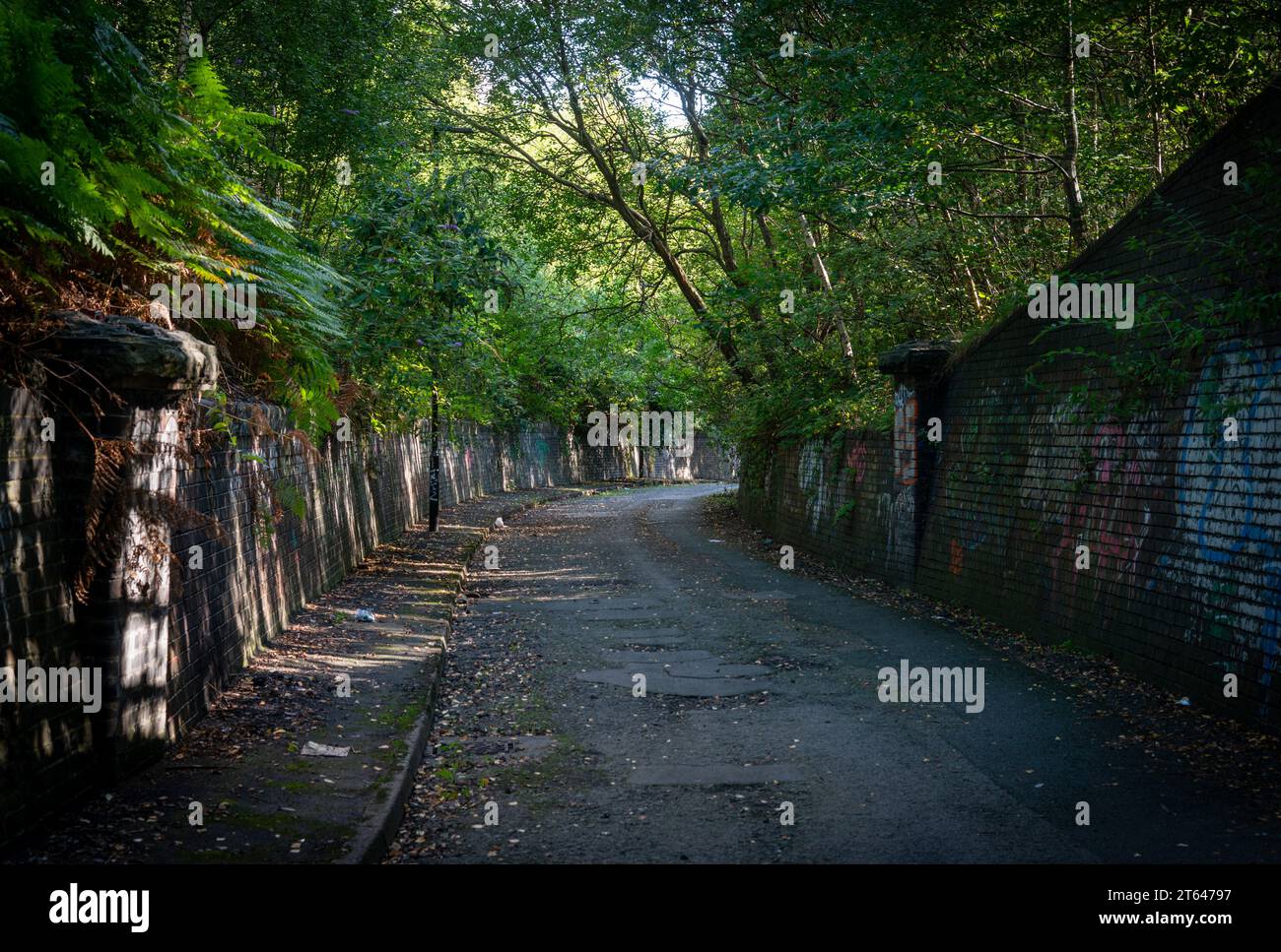 Colliery Rd, Sheffield Foto Stock