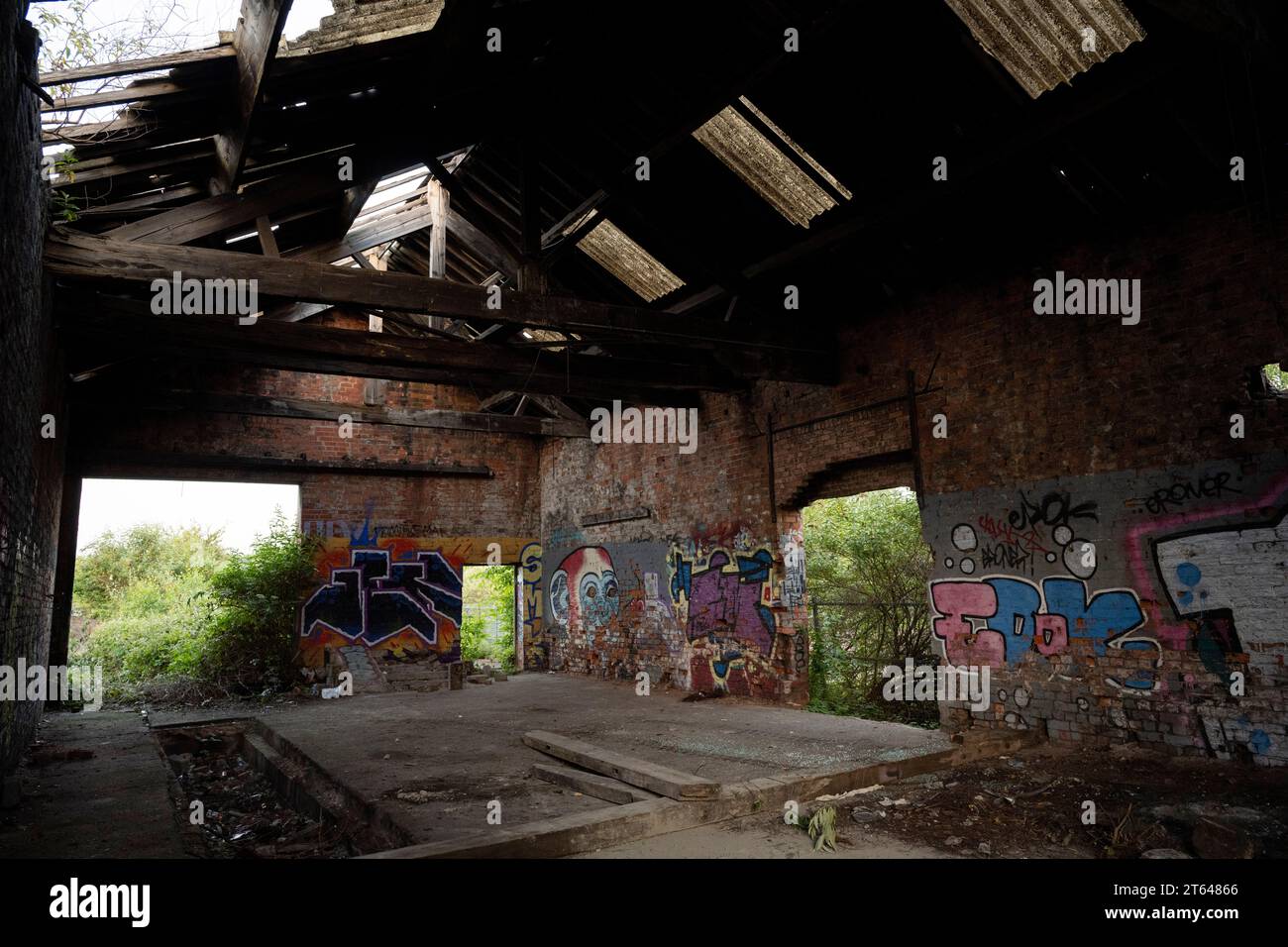 Derelict Warehouse, Canal, Sheffield Foto Stock