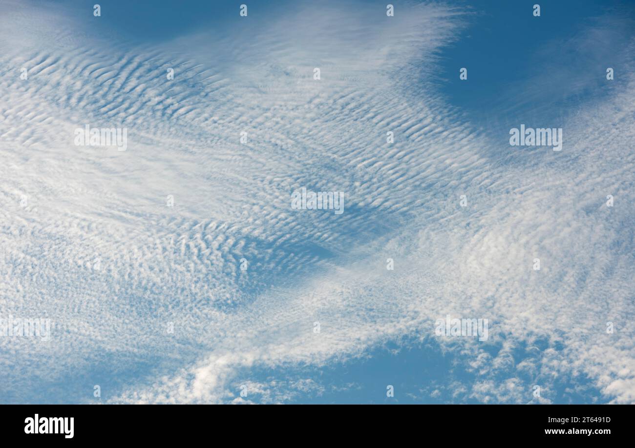 Nuvole di Cirrocumulus, talvolta note come "cielo di sgombro" (Regno Unito) Foto Stock