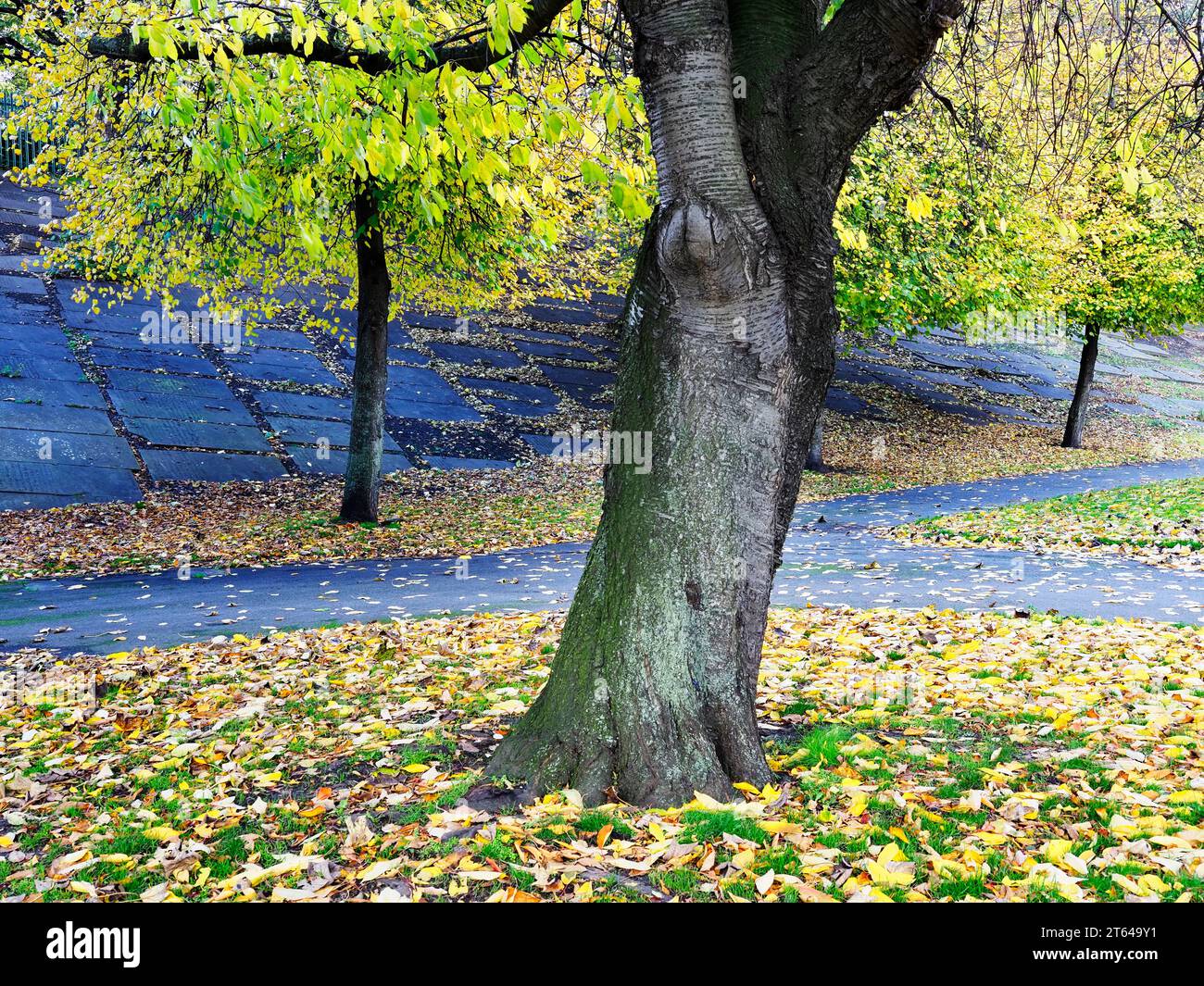 Penny Pocket Park in autunno, ex parte del cimitero della Minster di Leeds, con vecchie lapidi sull'argine ferroviario di Leeds, Inghilterra Foto Stock