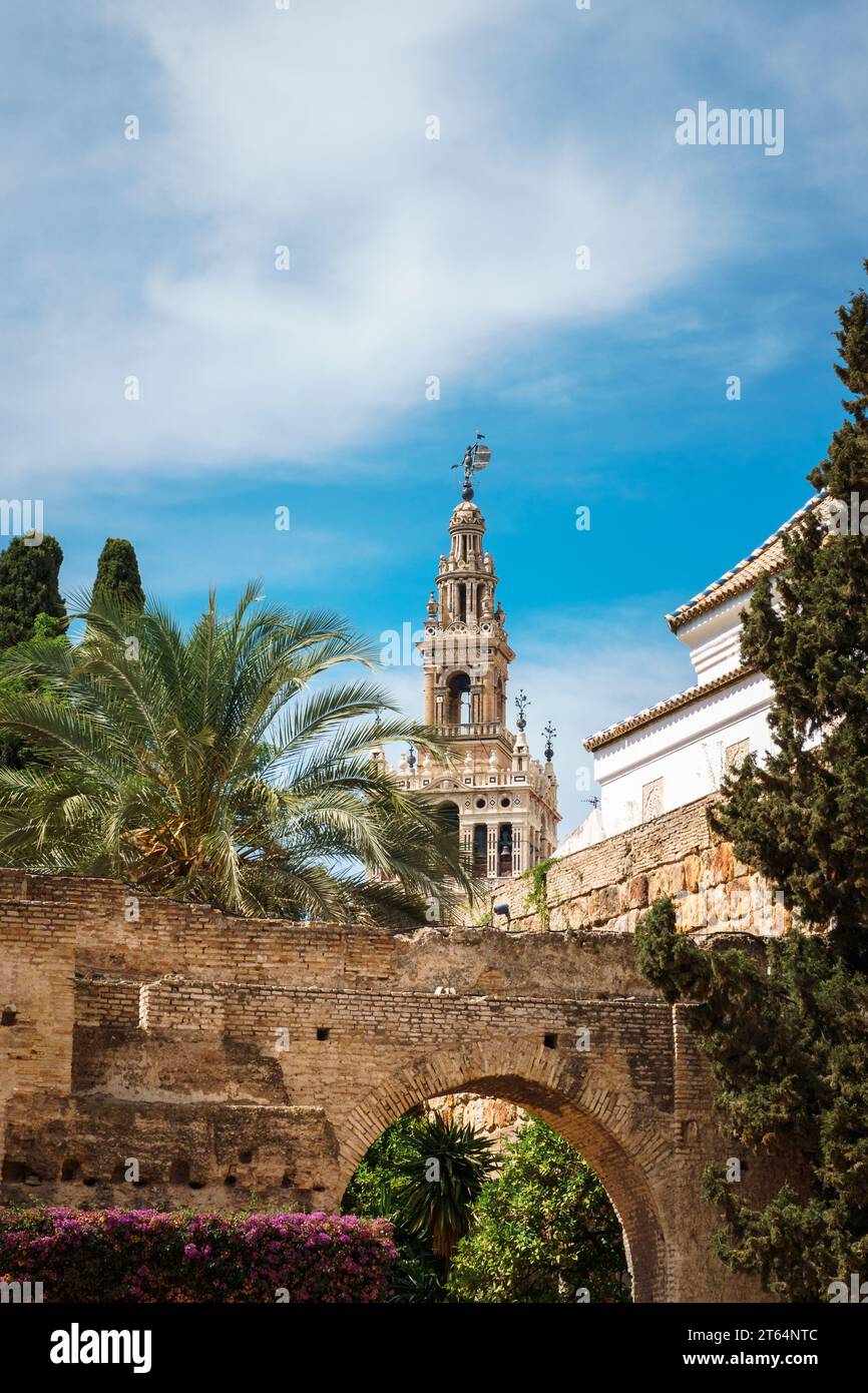 La Giralda - Cattedrale - Siviglia Spagna Foto Stock