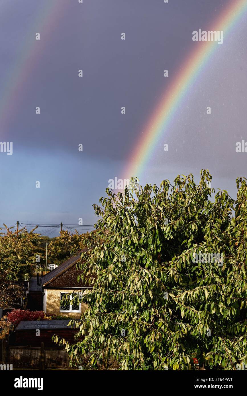 Arcobaleno che si forma contro un cielo grigio con cime degli alberi in primo piano Foto Stock