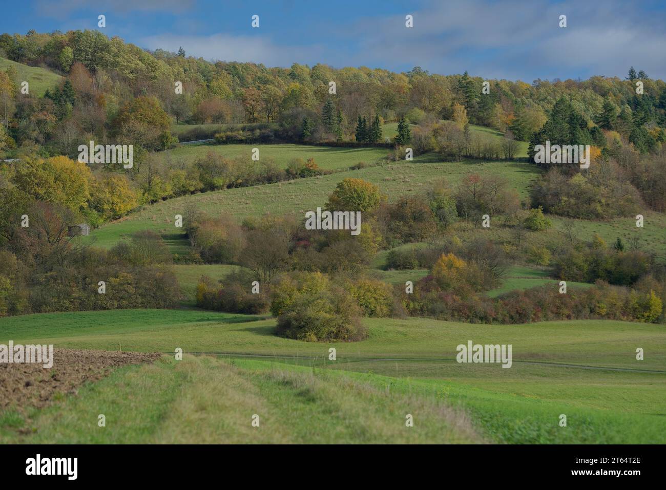 Autunno ai piedi del Limpurger Berge, Einkorn, Limpurger Land, Limpurger Berge, Michelbach, Naturpark Schwaebisch-Fraenkischer Wald, Schwaebisch Foto Stock