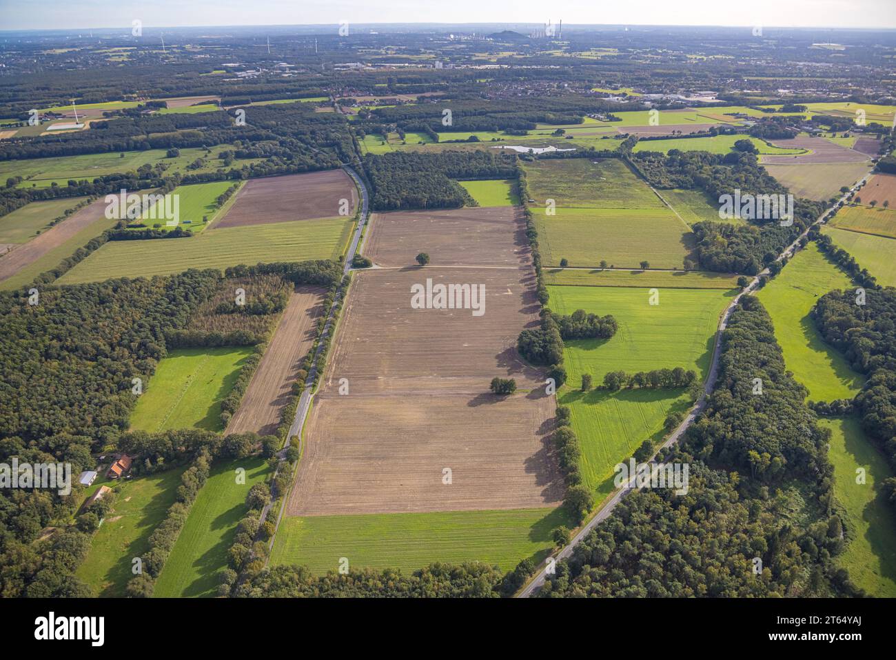 Veduta aerea, prati e campi Hervester Bruch area di conservazione del paesaggio, Hervest, Dorsten, regione della Ruhr, Renania settentrionale-Vestfalia, Germania, Germania, Europa, Foto Stock