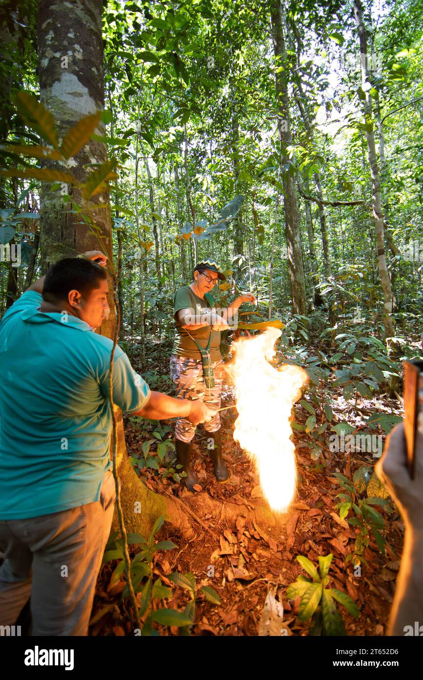 Le guide della giungla hanno dato fuoco alla cera naturale nella foresta pluviale amazzonica, a Manaus, nello stato di Amazonas, in Brasile Foto Stock