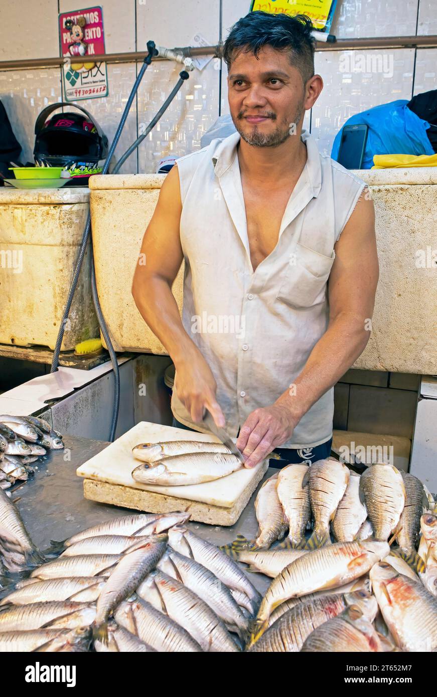Uomo brasiliano che vende pesce al mercato municipale di Adolpho Lisboa, Manaus, stato di Amazonas, Brasile Foto Stock