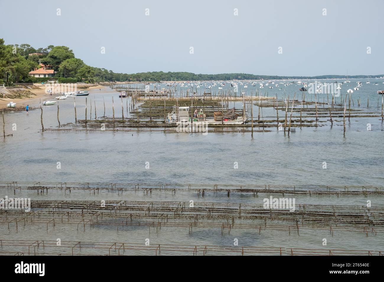 Oyster Beds sulla costa di Cap Ferret nella baia di Arcachon in Aquitania, Francia sud-occidentale Foto Stock