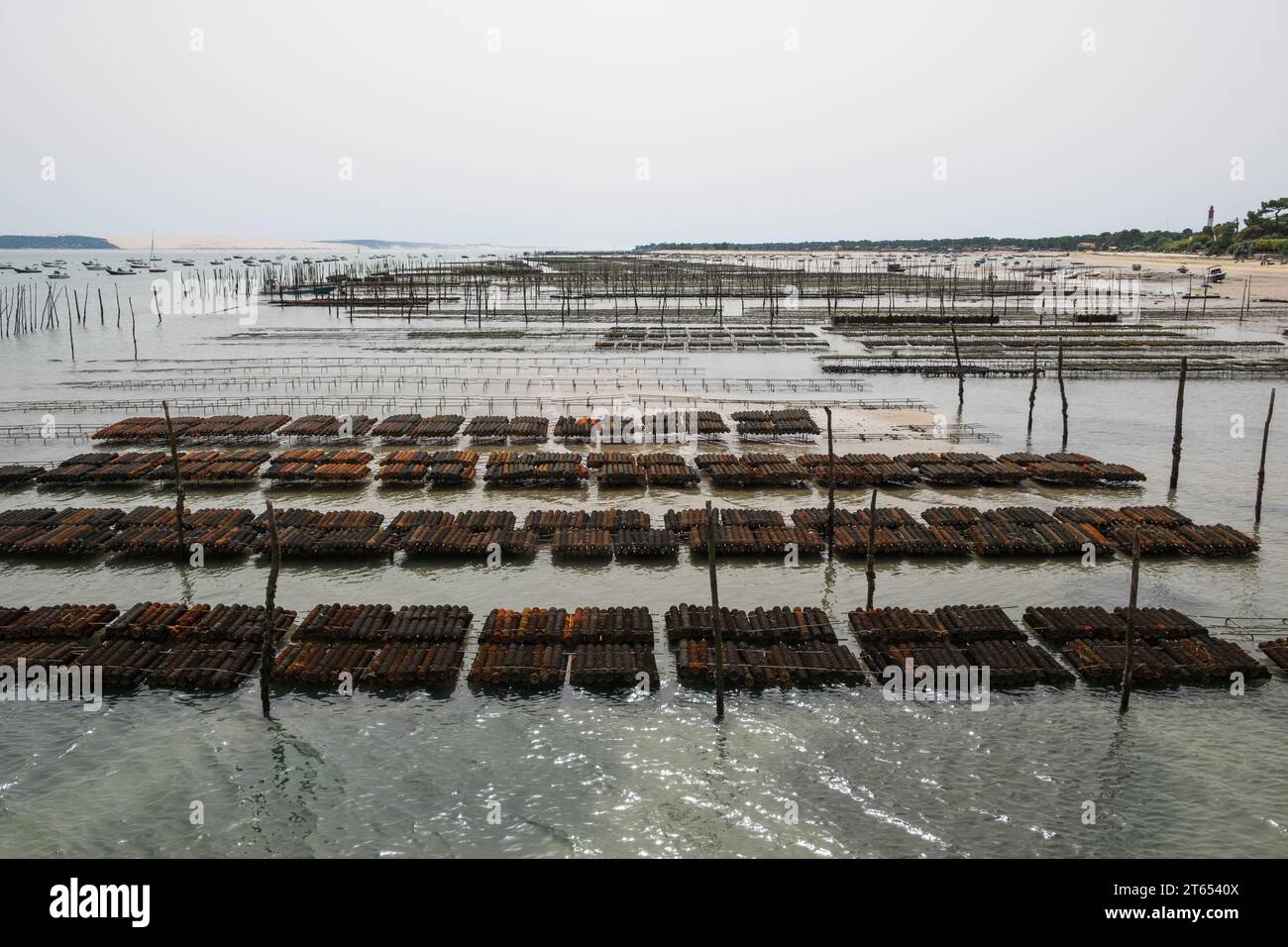 Oyster Beds sulla costa di Cap Ferret nella baia di Arcachon in Aquitania, Francia sud-occidentale Foto Stock