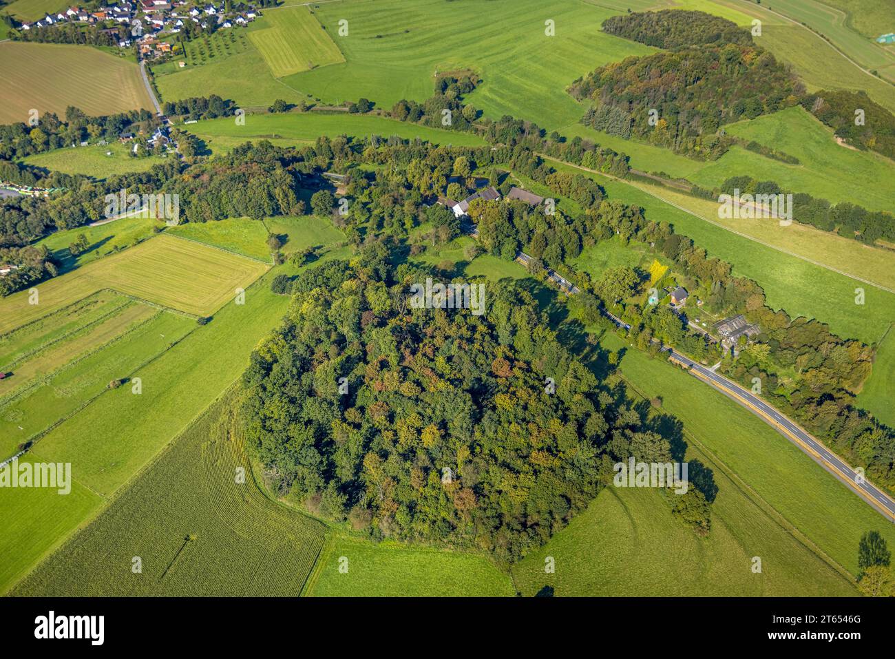 Veduta aerea, area boschiva e mulino a rulli Stüeken - Gransau, stagno di mulini in zona boschiva, Balve, Sauerland, Renania settentrionale-Vestfalia, Germania, premio, DE, UE Foto Stock