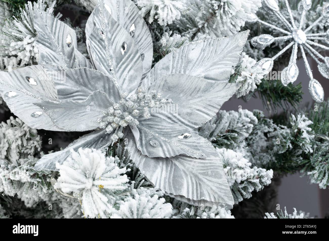 Vista ravvicinata macro decorazione natalizia con fiori bianchi Foto Stock