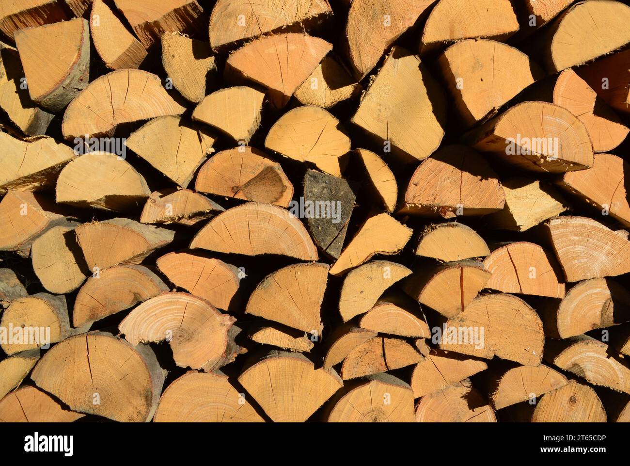 Fondo in legna da ardere con legna tagliata a secco Foto Stock