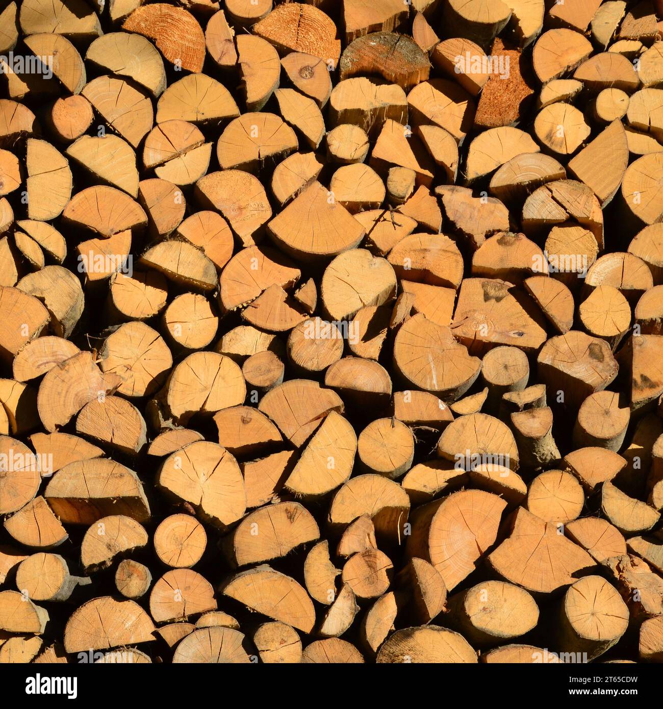 Pila di legna da fuoco tagliata a secco Foto Stock