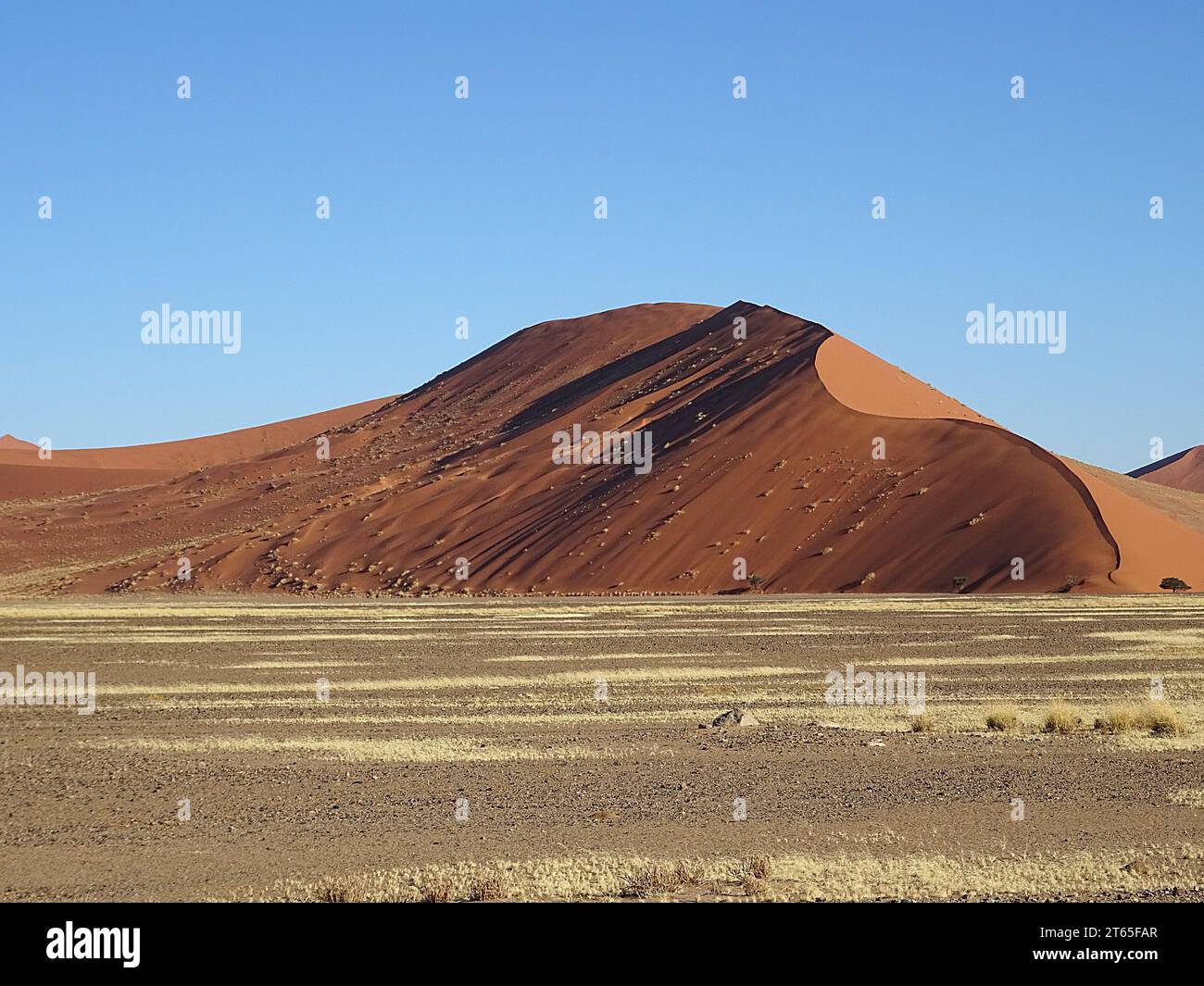 Dune di sabbia del parco nazionale Namib Nauluft, vicino a Sesriem in Namibia, in piena luce solare, cieli blu. Foto Stock