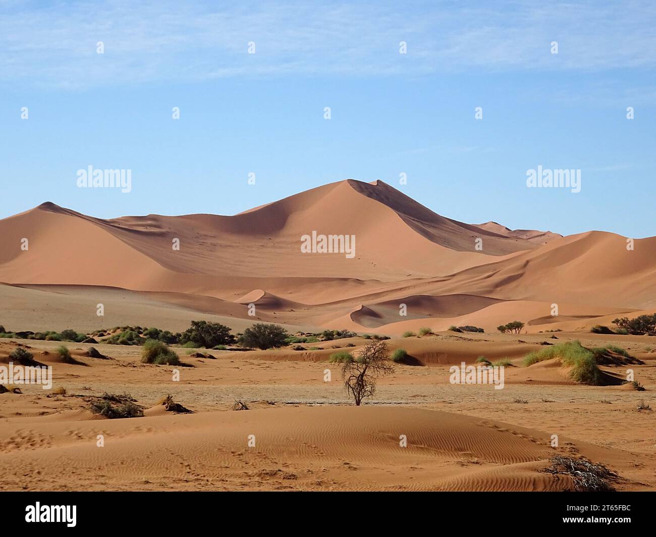 Dune di sabbia del parco nazionale Namib Nauluft, vicino a Sesriem in Namibia, in piena luce solare, cieli blu. Foto Stock