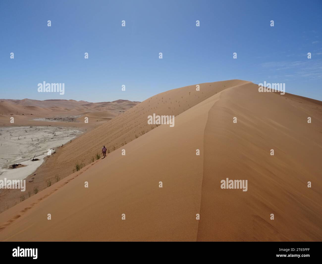 Le dune di sabbia e pianeggianti di Deadvlei in Namibia, durante la luce del giorno Foto Stock