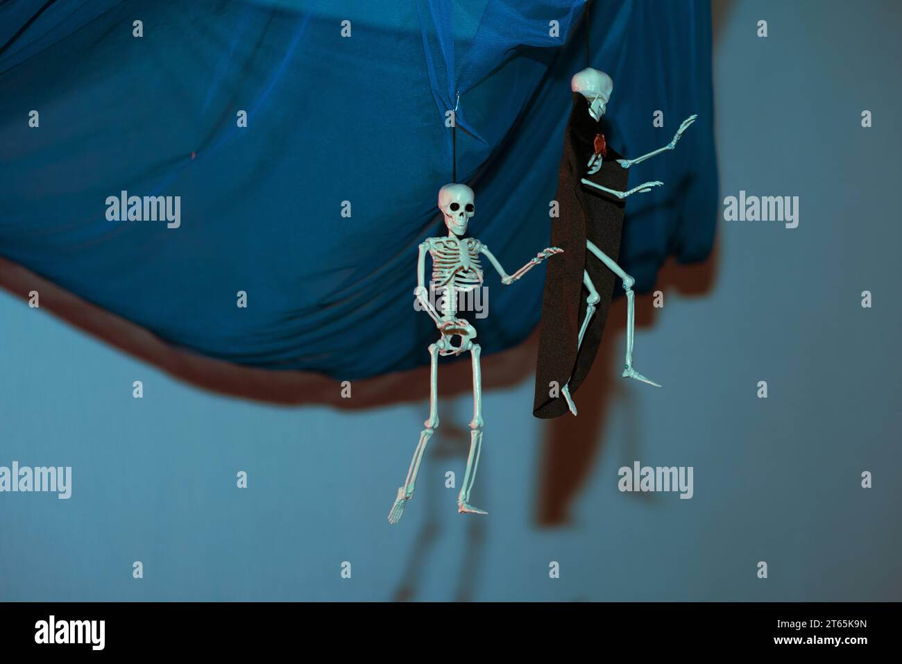 Decorazione per Halloween: Due scheletri appesi a un panno blu su sfondo blu in una stanza buia. Uno scheletro in un mantello nero con cravatta rossa Foto Stock