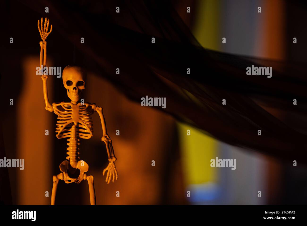 Decorazione per la festa di Halloween. Immagine ravvicinata di uno scheletro horror con la mano in alto appeso al panno nero in una stanza buia di notte. Foto Stock